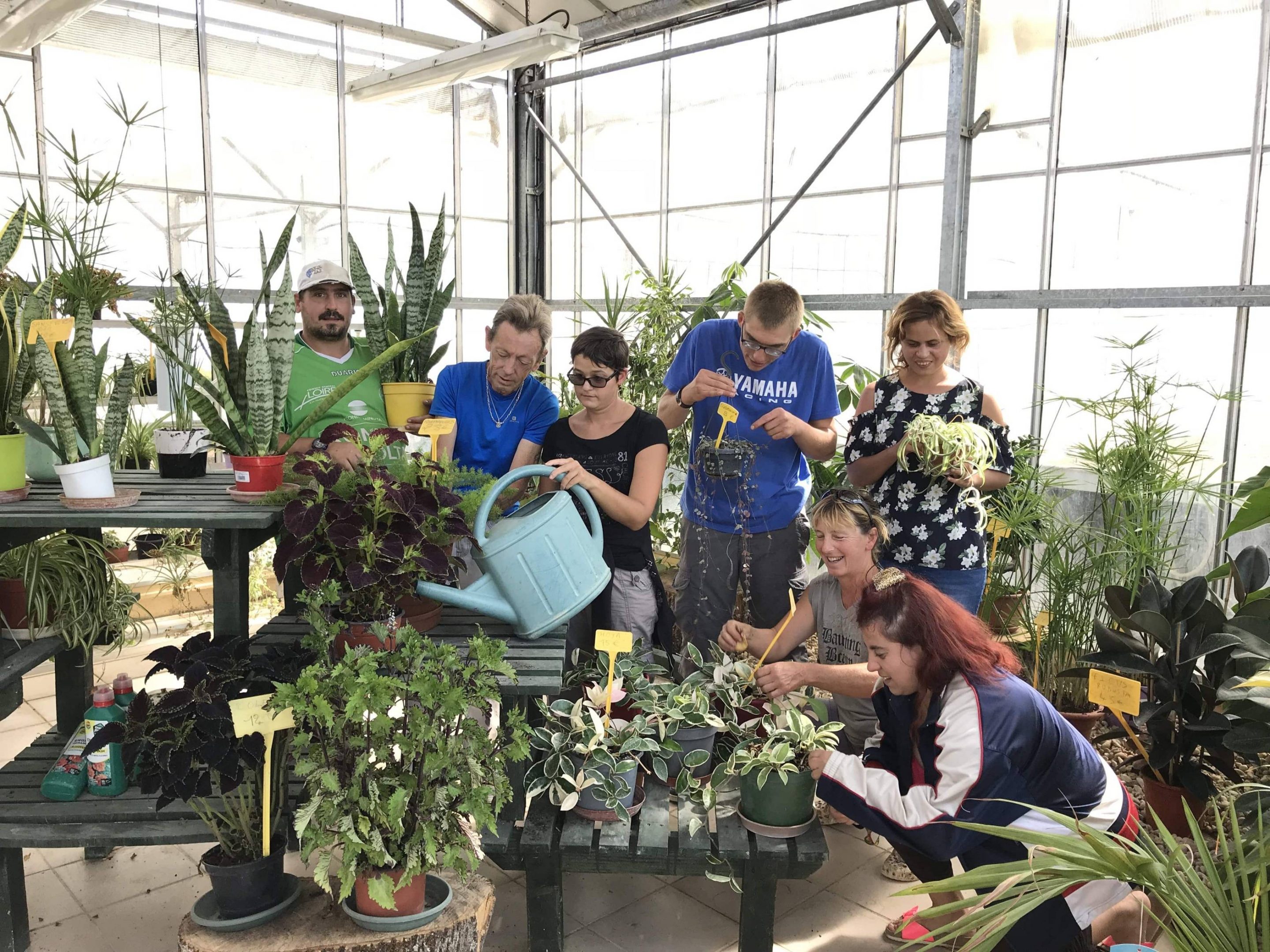 Mutualité Saône et Loire - Services solidaires - Jardinerie Mutualité Saône et Loire - Services solidaires - Jardinerie